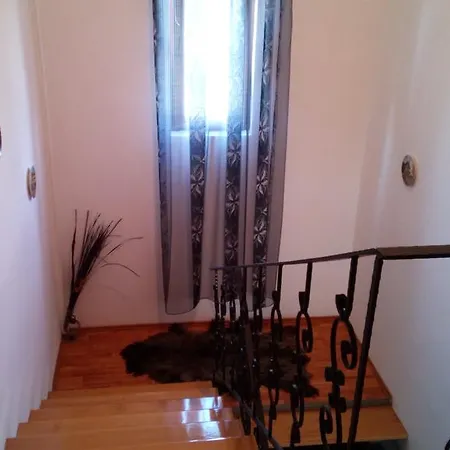 Vila El Capitan Homestay